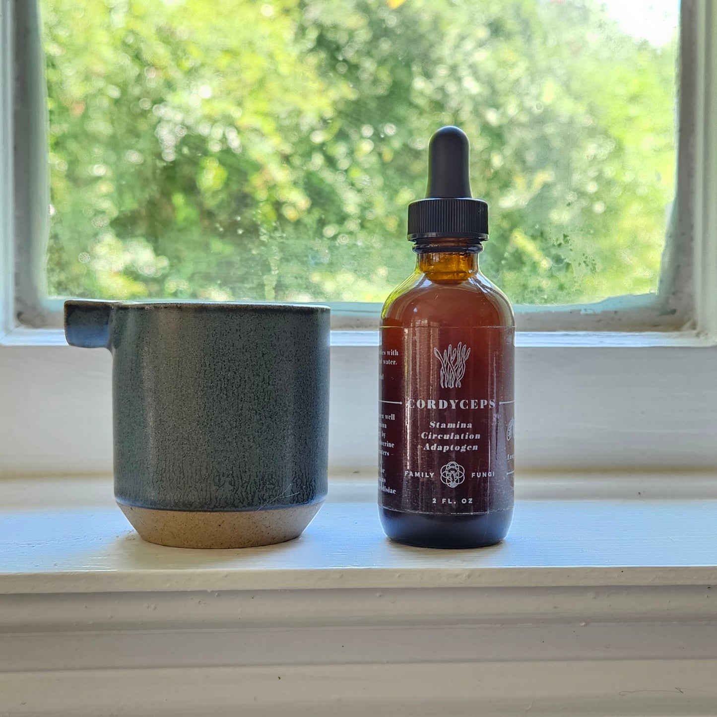 Cordyceps Extract