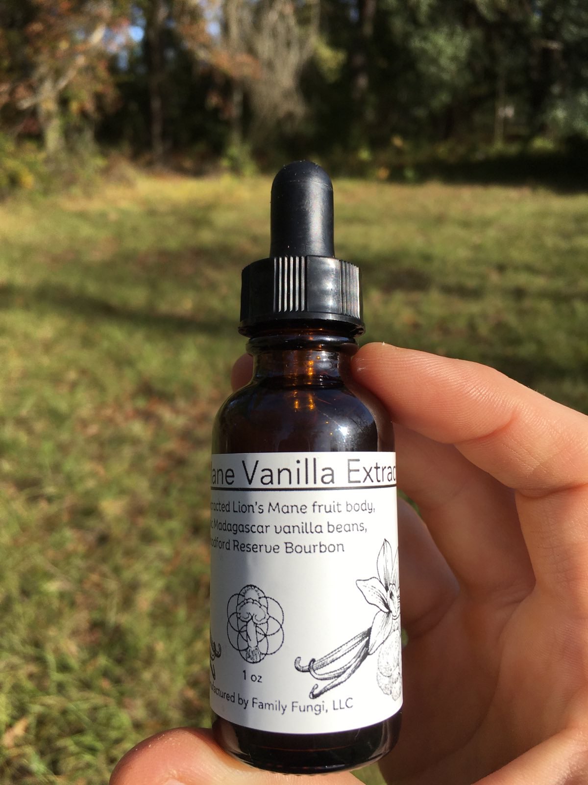 Lion's Mane Vanilla Extract