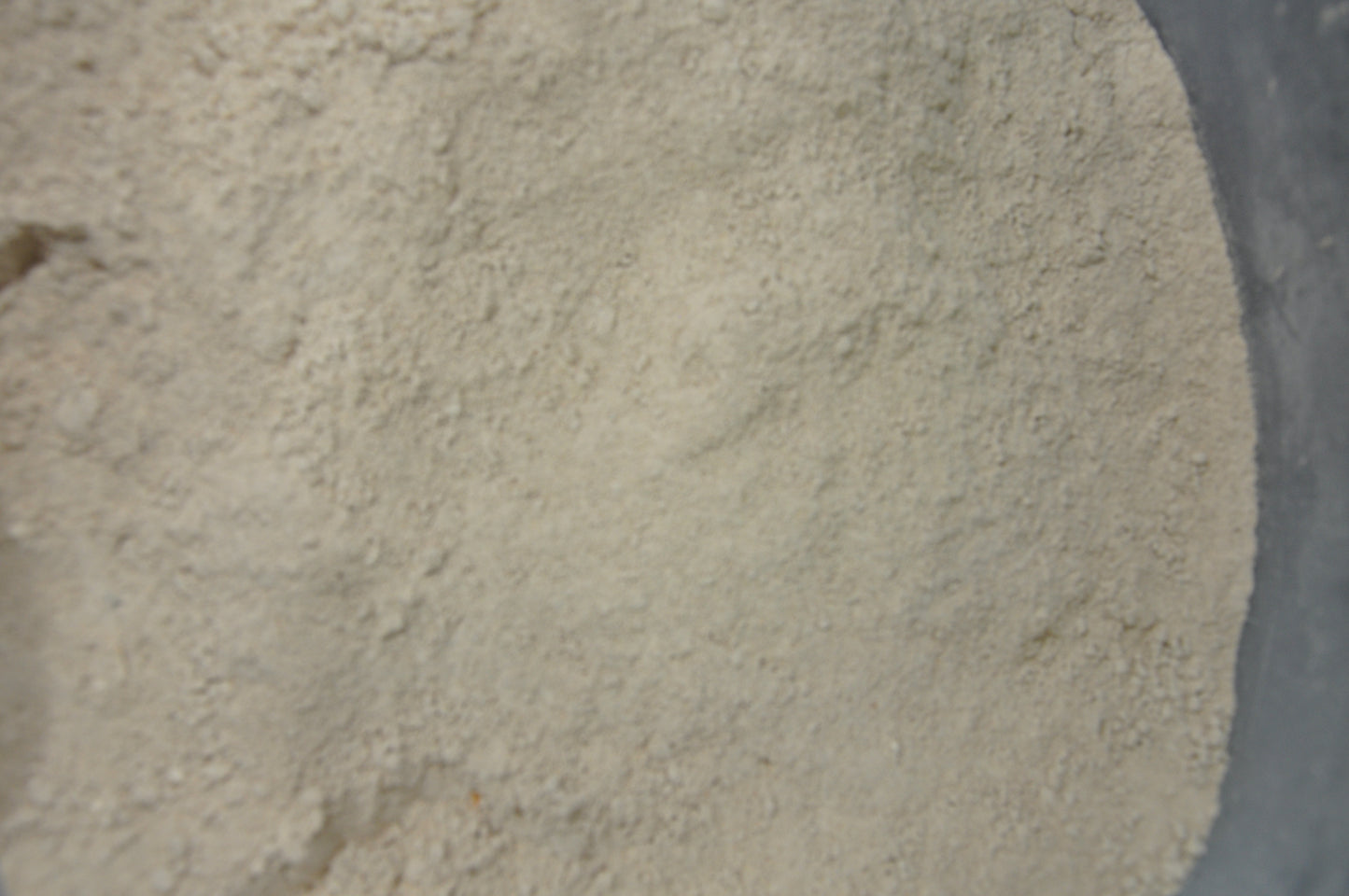 Lion's Mane Capsules