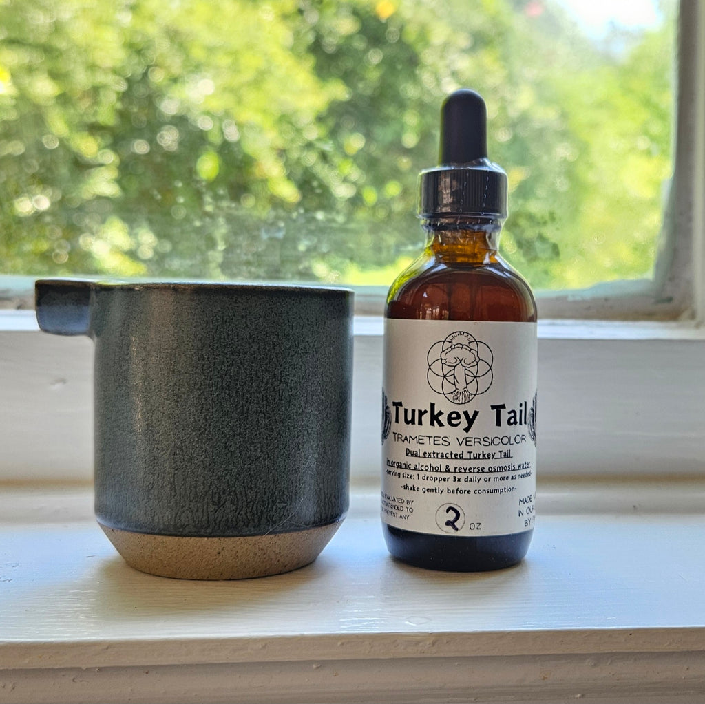 Turkey Tail Tincture