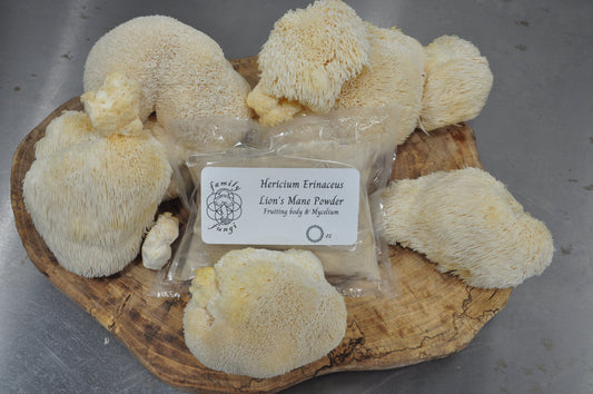Medicinal Mushroom Powders